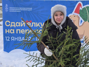 В Можайске член Общественной палаты Можайского округа Юлия Башаева стала одним из первых участников областной акции «Сдай ёлку на переработку»