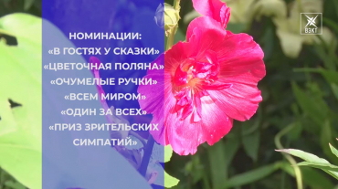 Участники конкурса «Мой двор - моя гордость» делятся секретами