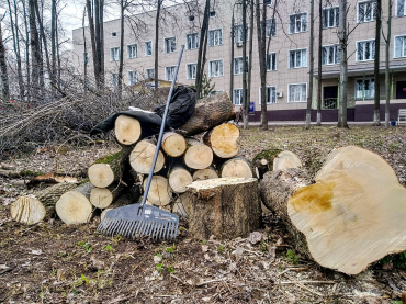 Субботник 250405