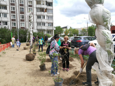 Лес Победы в Черноголовке