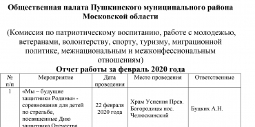 Отчет за февраль и план работы на март комиссии по патриотическому воспитанию, работе с молодежью, ветеранами, волонтерству, спорту, туризму, миграционной политике, межнациональным и межконфессиональным отношениям