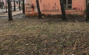 Снос неиспользуемой постройки в Южном Кучино