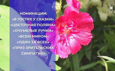 Участники конкурса «Мой двор - моя гордость» делятся секретами